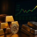 금·주식은 계속 뛸까?…&#39;에브리싱 랠리&#39;에 가려진 위험 이미지