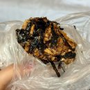 엑스포로3 | 성심당 김치찹쌀주먹밥 나오는 시간과 내돈내산 후기