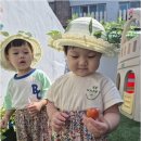 꼬모어린이집 이미지