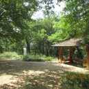 황령산순환도로 이미지