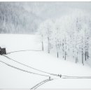 서호목장 이미지