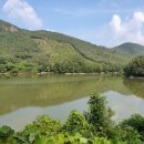 산새부동산공인중개사사무소 이미지