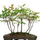 혜정한의원 이미지