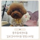 멍멍 스타일 이미지