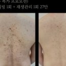 호이보니타