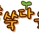 쑥쑥다육