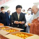 제주도개인택시운송사업조합 LPG충전소 | 제주 감귤의 향기, 천년의 사찰 서울 봉은사에서 널리 퍼졌다