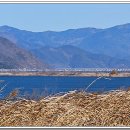 남지버스터미널 이미지