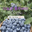 선향원
