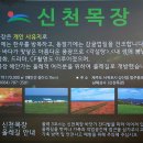 주홍목장 | 제주도 겨울여행 2일차! 이색풍경 신천목장