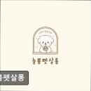 늘봄펫살롱 이미지