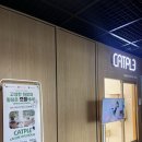 캣플헤븐 엘리스빌 인천서구점 | 37개월/ 개냥이천국인 [캣플헤븐 고양이카페] 아이랑 방문하기 좋아요! 내돈내산 광고x