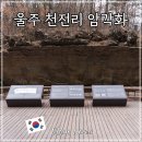 울산암각화박물관 | 울주 천전리 명문과 암각화 박물관 울산 근교 가볼만한 곳