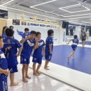 스웻바디라이프mma주짓수킥복싱 이미지