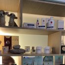 닥터홈즈의원 이미지