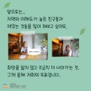 청풍상회 이미지