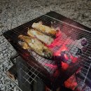 헬스 | 정읍 자두마을 캠핑장 23.9.30.~23.10.2. 2박3일 후기(강아지동반가능) / 정읍맛집추천 꼬막비빔밥...