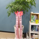 이은정수학교습소