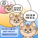 피크짐(PEAK GYM) | [인계동 피티] 인생의 정점, '짐피크'에서 찾은 역대급 바디변화 후기 (식단/시설/PT가격)