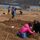 일대농장 이미지