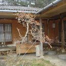 뱃마당 Daum카페