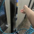 오라셀세모 이미지