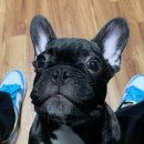 엠에이치핏 이미지