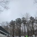 용인자연휴양림1 이미지