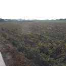 대정읍 상모1리사무소 이미지