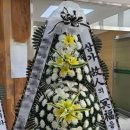 의료법인 세명의료재단 세명요양병원 이미지