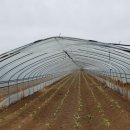 대풍원예 이미지