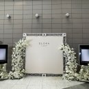 라인 | 송파 밝은 웨딩홀 엘로라인가든 시식후기!