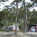 증도해뜨는 이미지