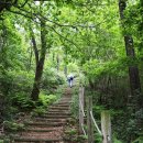 산림문화체험관 이미지