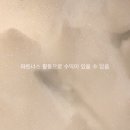 이니스프리이마트동백