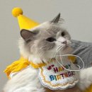 오뗄두스 신세계백화점 본점 후레쉬롤 후기🍰