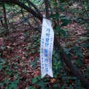 가학농장 티스토리