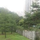 대주부동산중개사무소 이미지