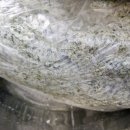 매탄방앗간 이미지