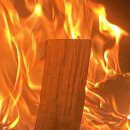 함박금스테이 - 1151 | 함박금스테이