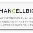 셀메디컬투어