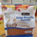 버드리농장 이미지