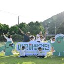 아꼬아 이미지