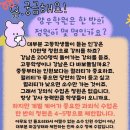 목포영화중학교 이미지