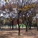 신천체육공원 테니스장 이미지