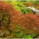 수원-1979 이미지