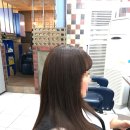 모도리 헤어