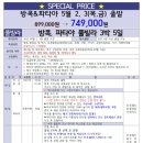 한솔여행사