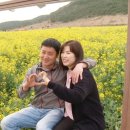 상필농장 네이버블로그