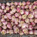 호림농장 이미지